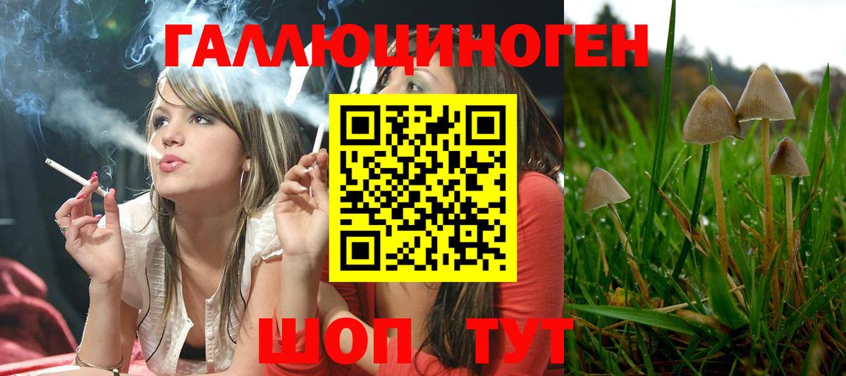 Бутурлиновка  Псилоцибиновые грибы GOLDEN TEACHER  Вход с VPN 